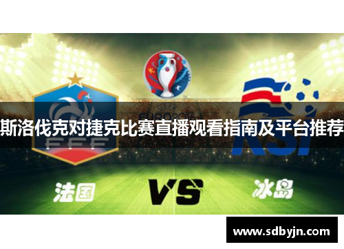 斯洛伐克对捷克比赛直播观看指南及平台推荐