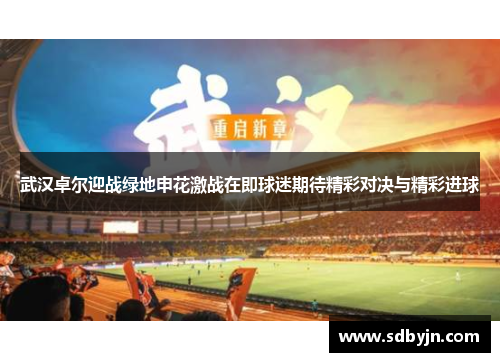 武汉卓尔迎战绿地申花激战在即球迷期待精彩对决与精彩进球