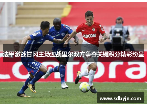 法甲激战甘冈主场迎战里尔双方争夺关键积分精彩纷呈